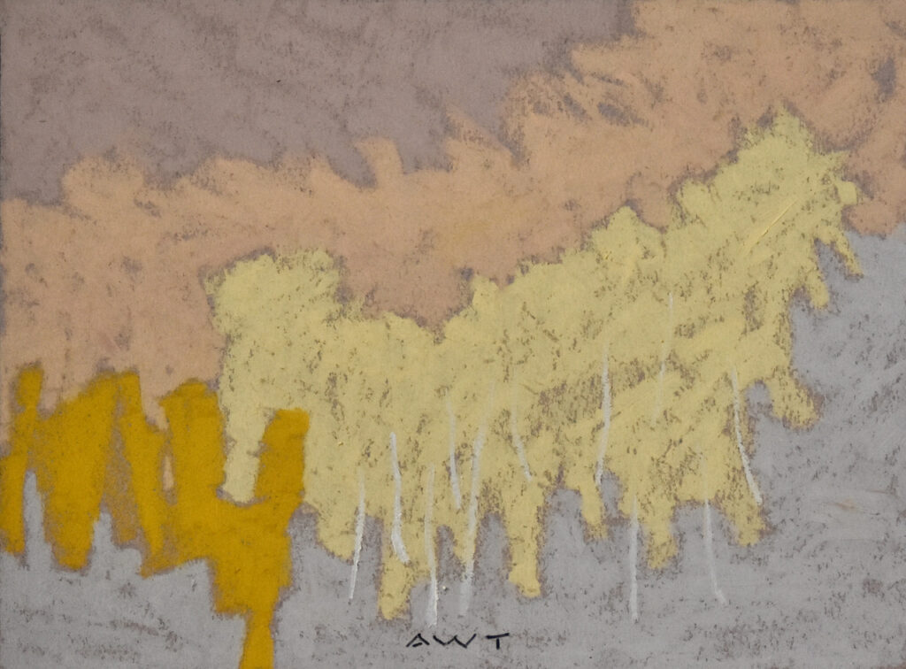 Andy Taylor, DR 23066 art