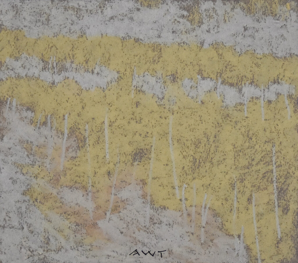 Andy Taylor, DR 23069 art