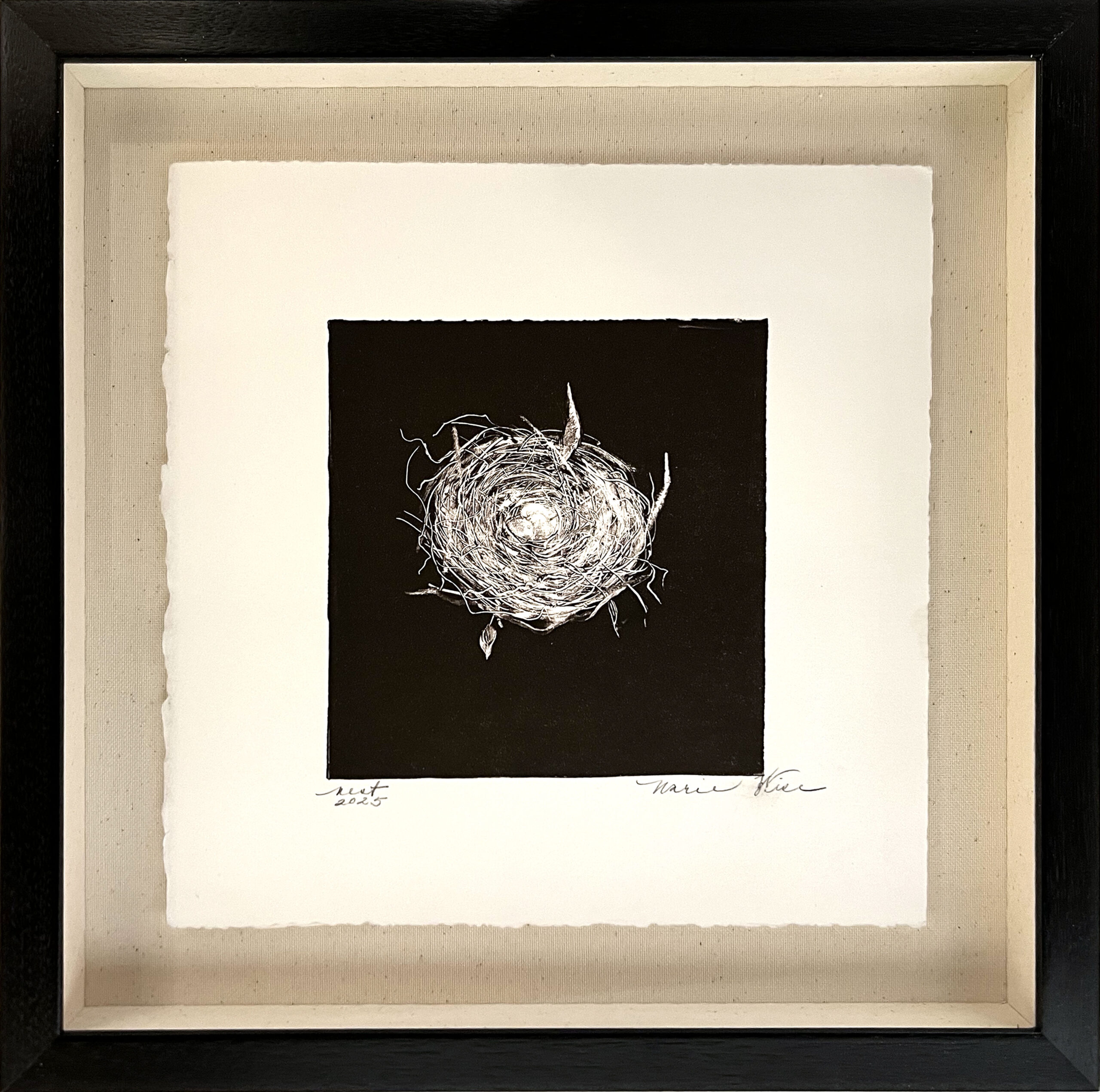 Marie Figge Wise - Nest #16***