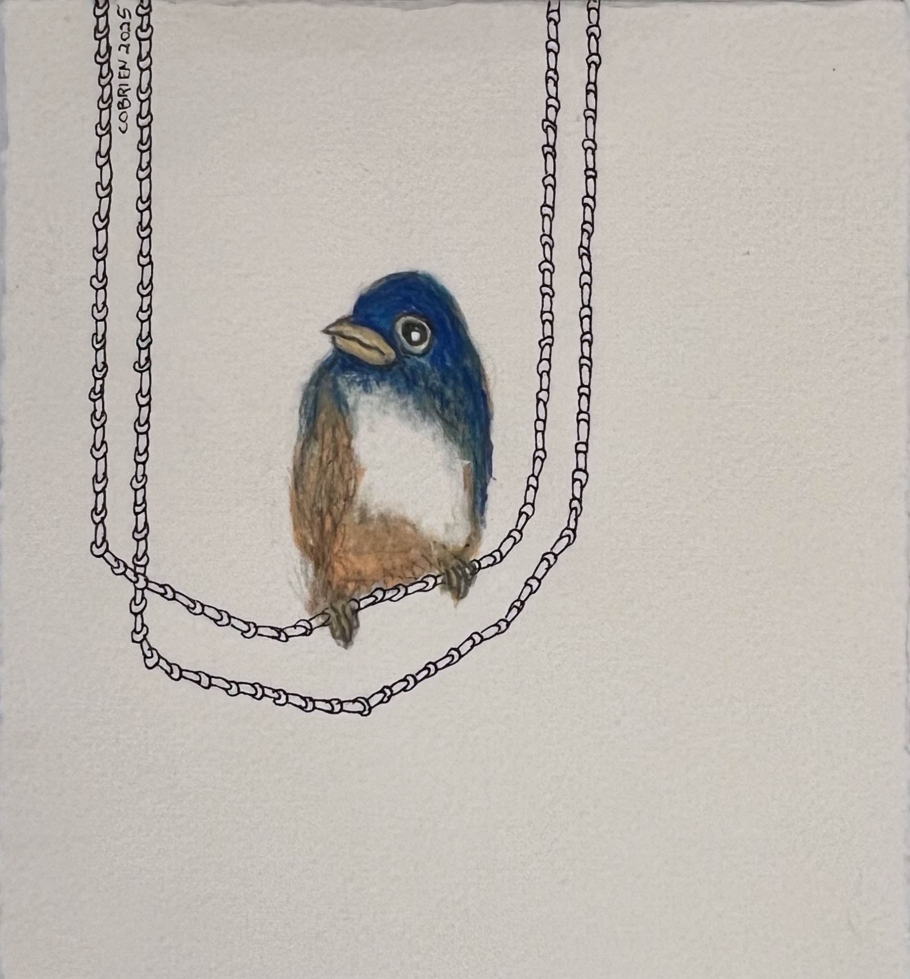 Craig OBrien - Hanging Blue