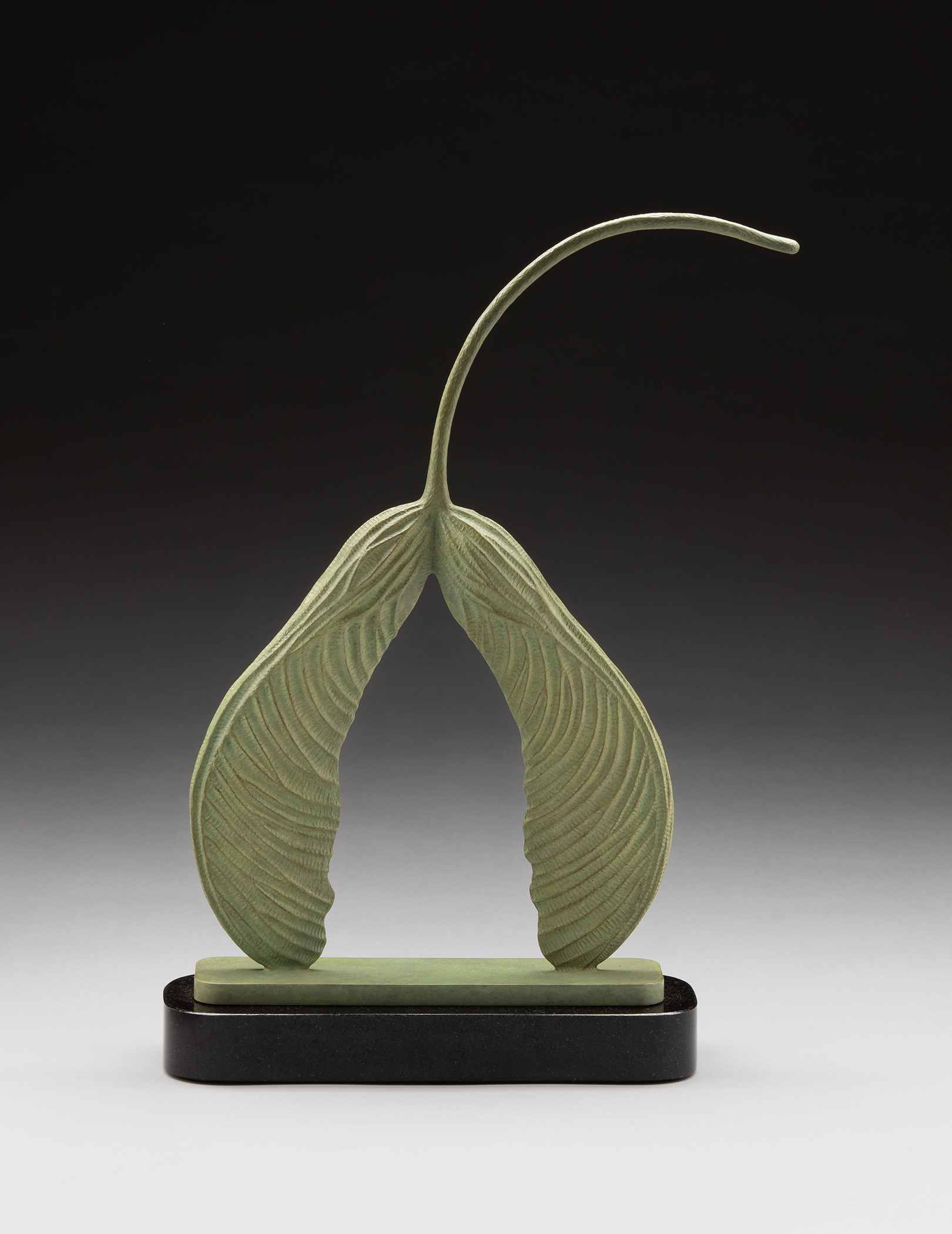 Tony Hochstetler - Maple Seed