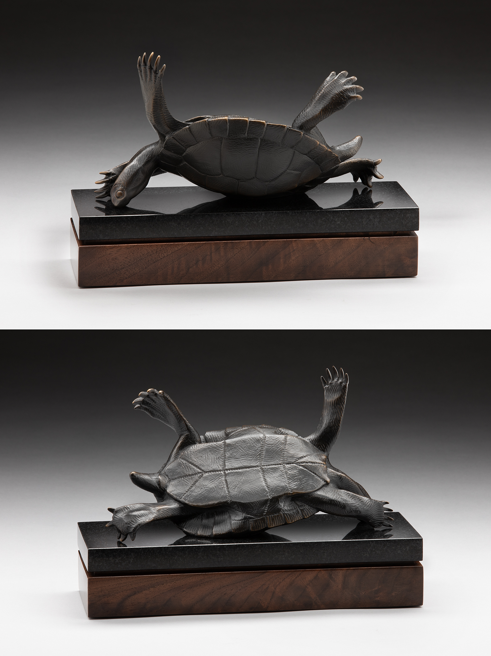 Tony Hochstetler - Not Again!