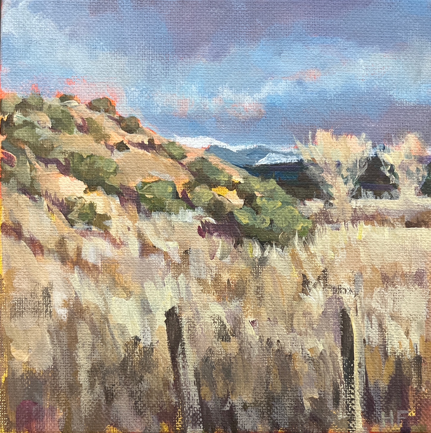 Heather Foster - Rim Trail View