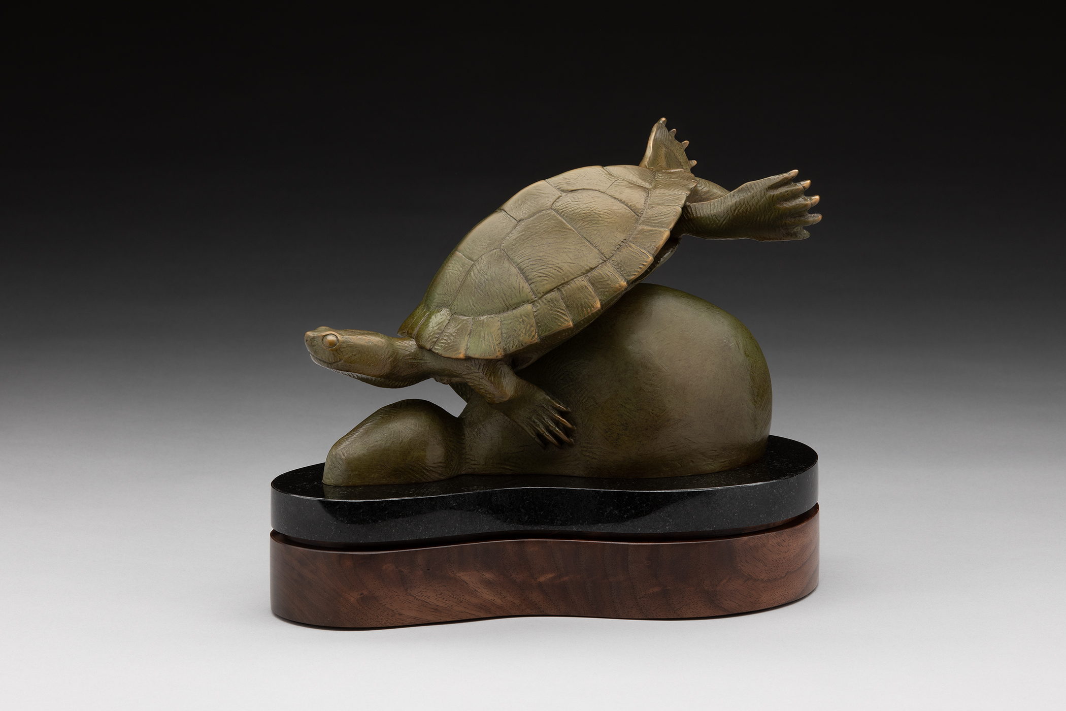 Tony Hochstetler - Workin' On My Tan