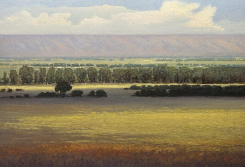 Peter Campbell, Valley Fields art
