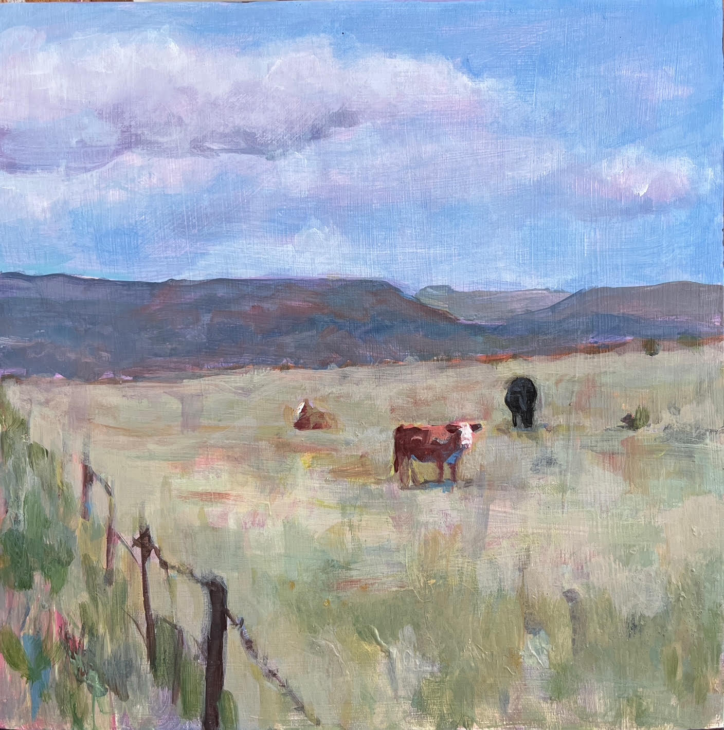 Heather Foster - Abiquiu Mesa