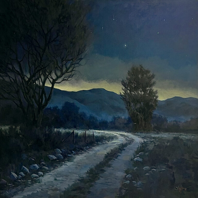 Simon Winegar - Strolling the Night