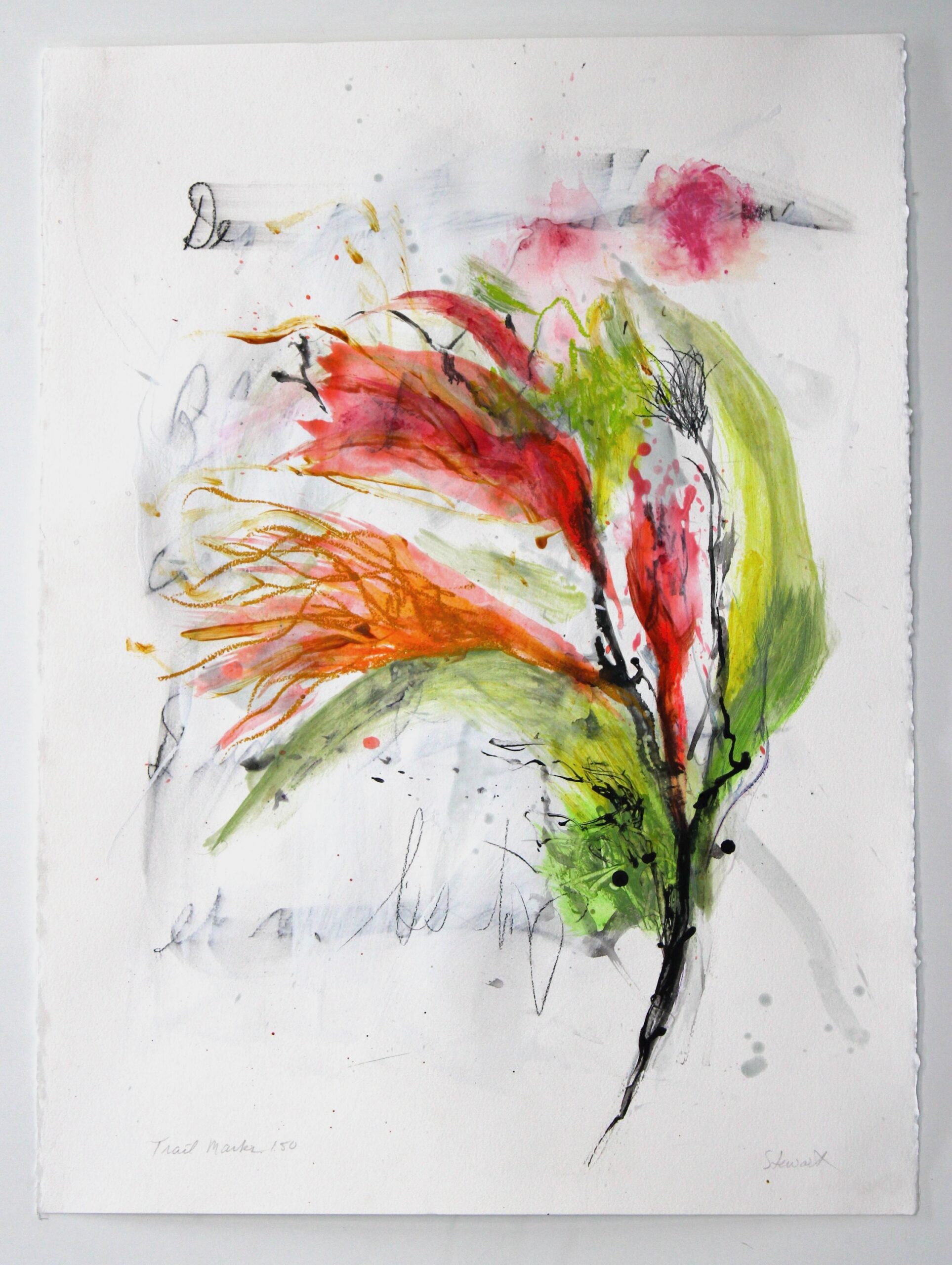 Allison Stewart - Trail Marks #150***