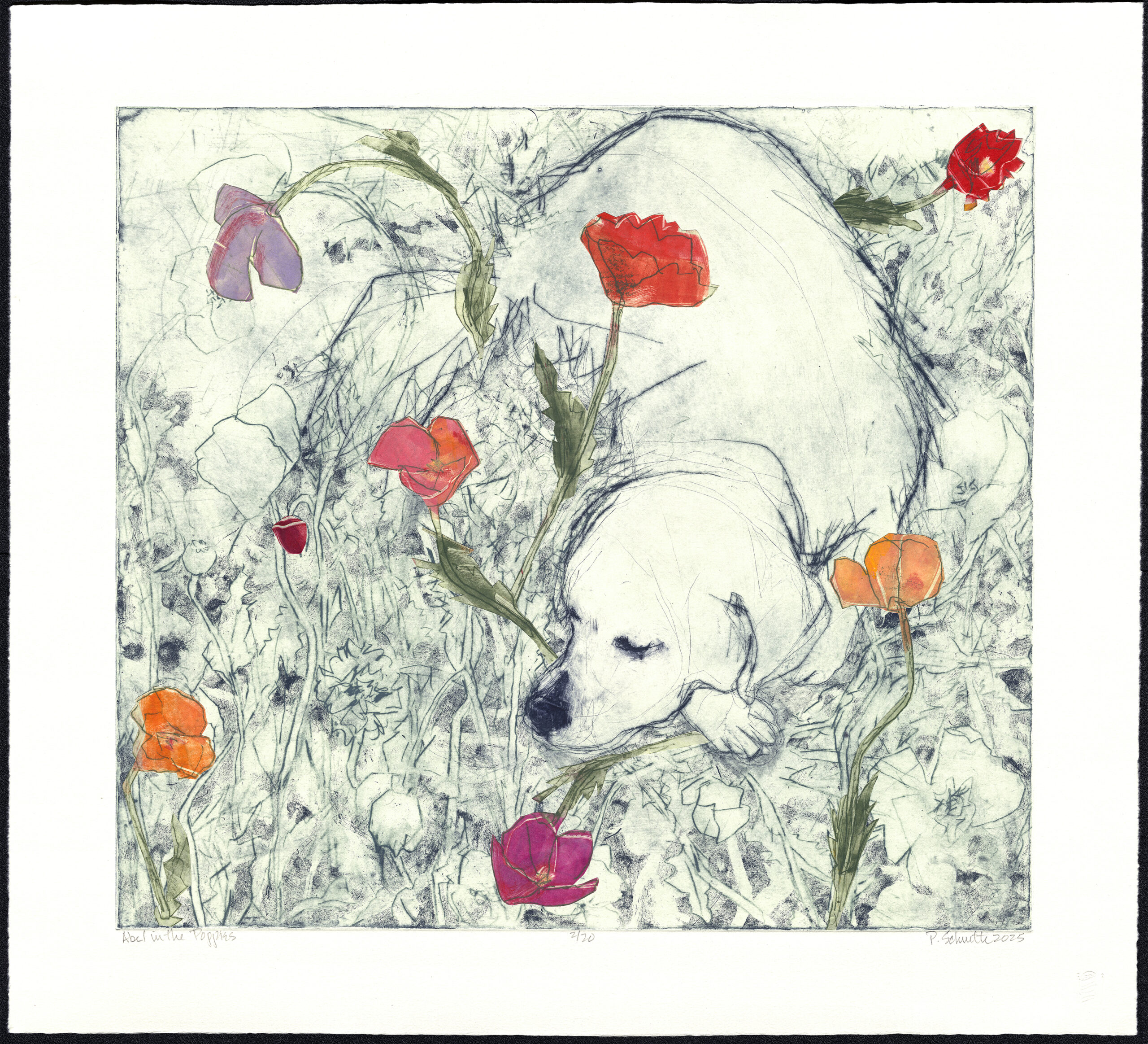 Paula Schuette Kraemer - Able in the Poppies, 17/20, UNF