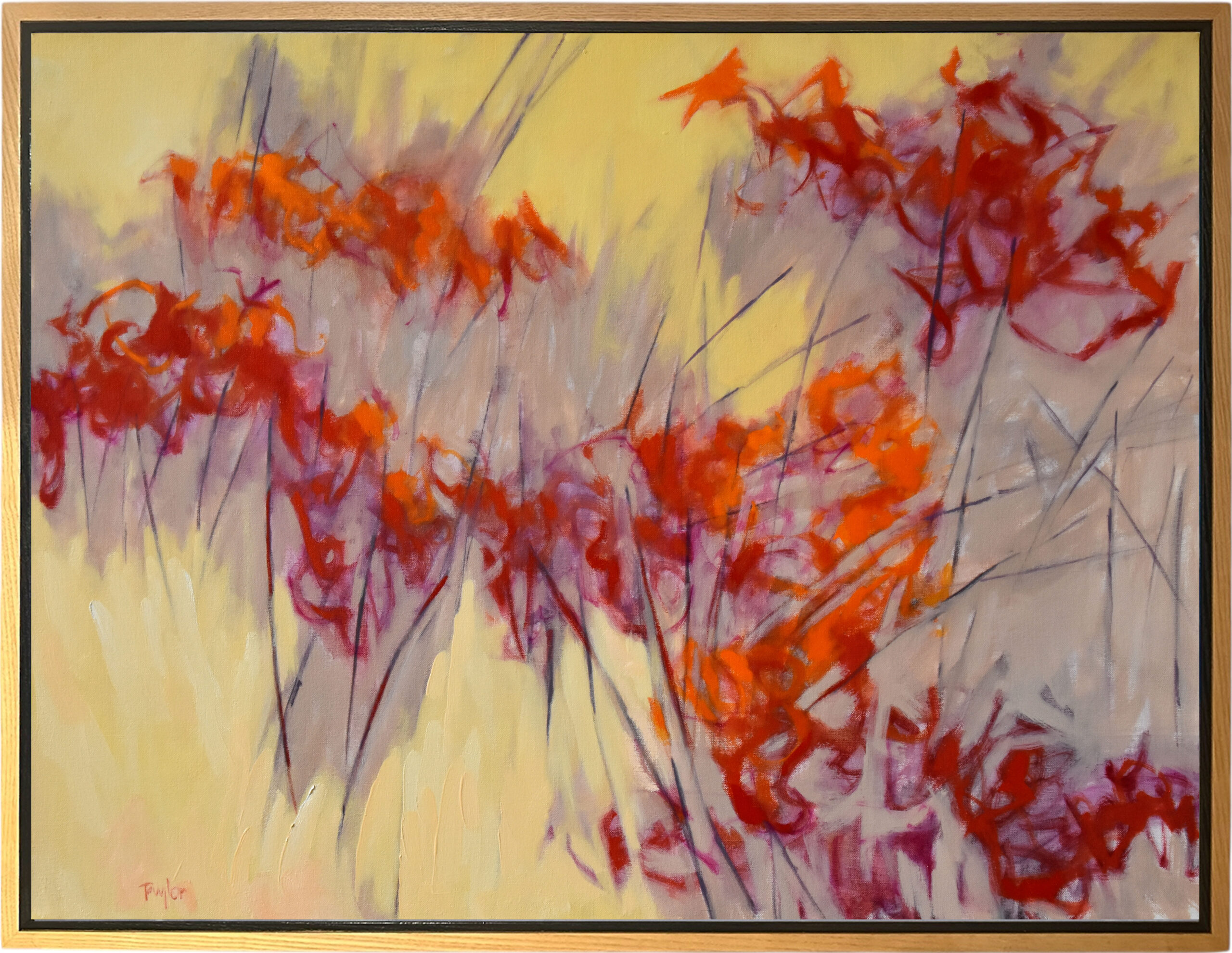 Andy Taylor - Sheep Shank