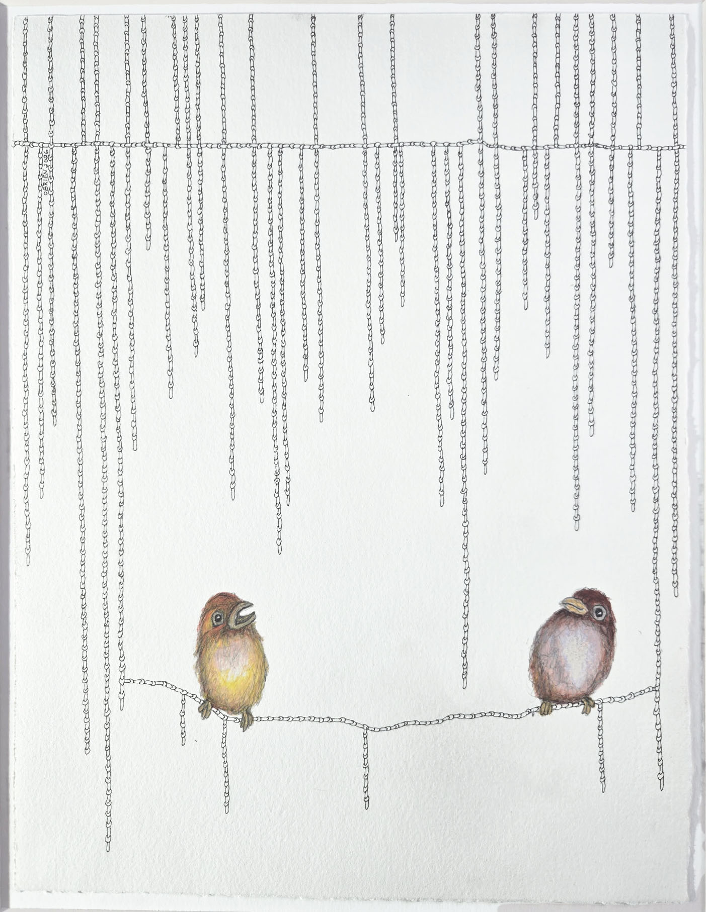 Craig O'Brien - Amazing***