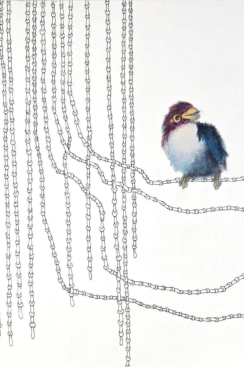 Craig O\'Brien - Anticipating***