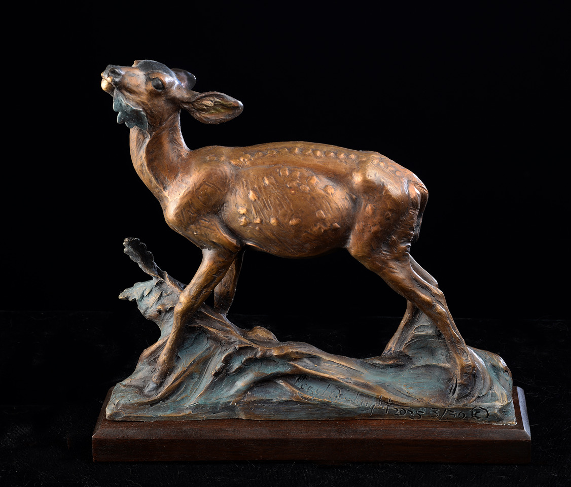 Veryl Goodnight - Discovery, 2/30