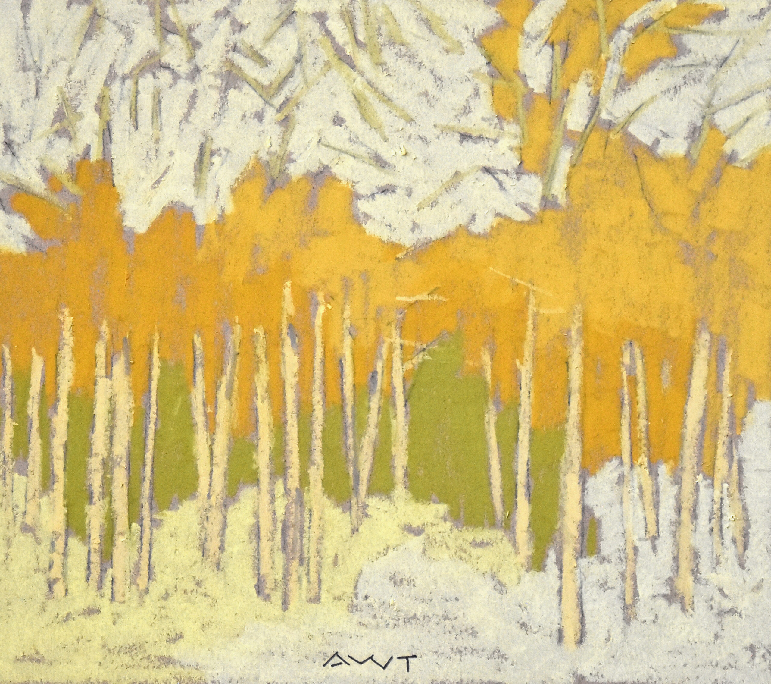 Andy Taylor - DR 23180