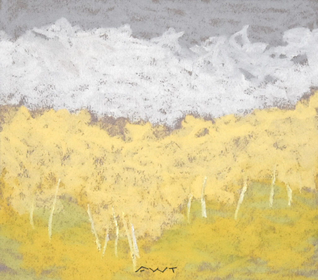 Andy Taylor, DR 23182 art