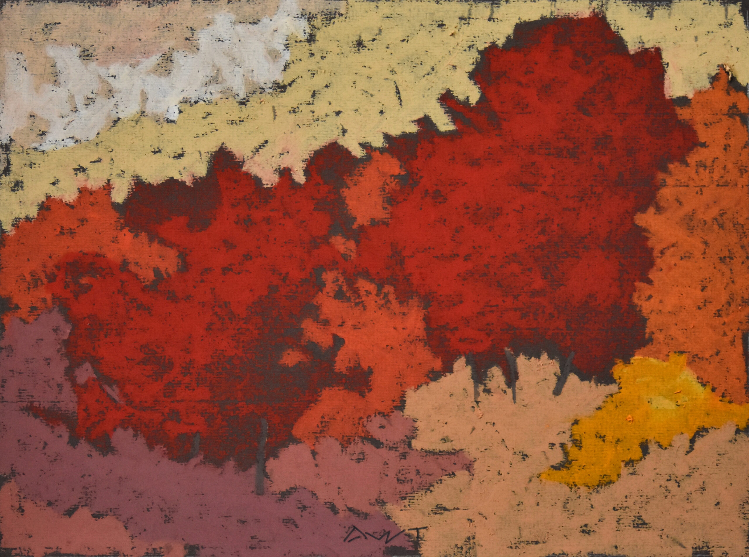 Andy Taylor - DR 25138