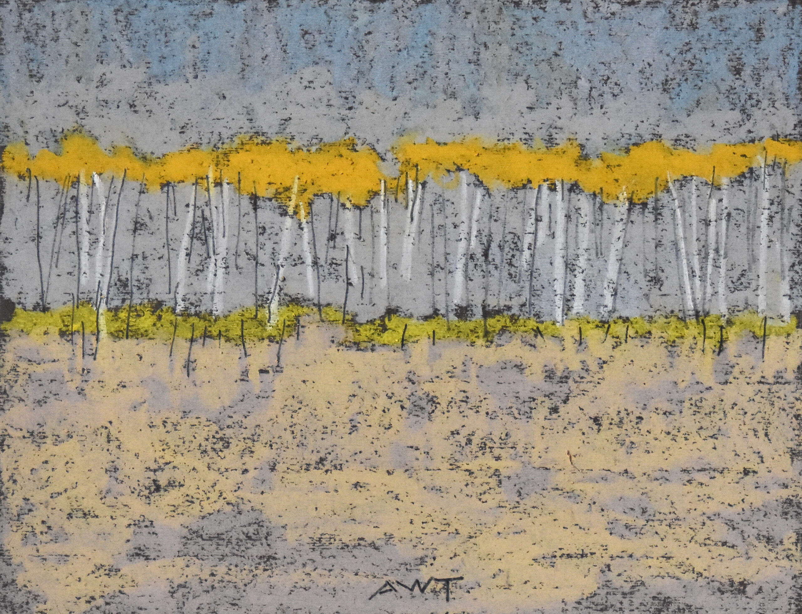 Andy Taylor - DR 26003