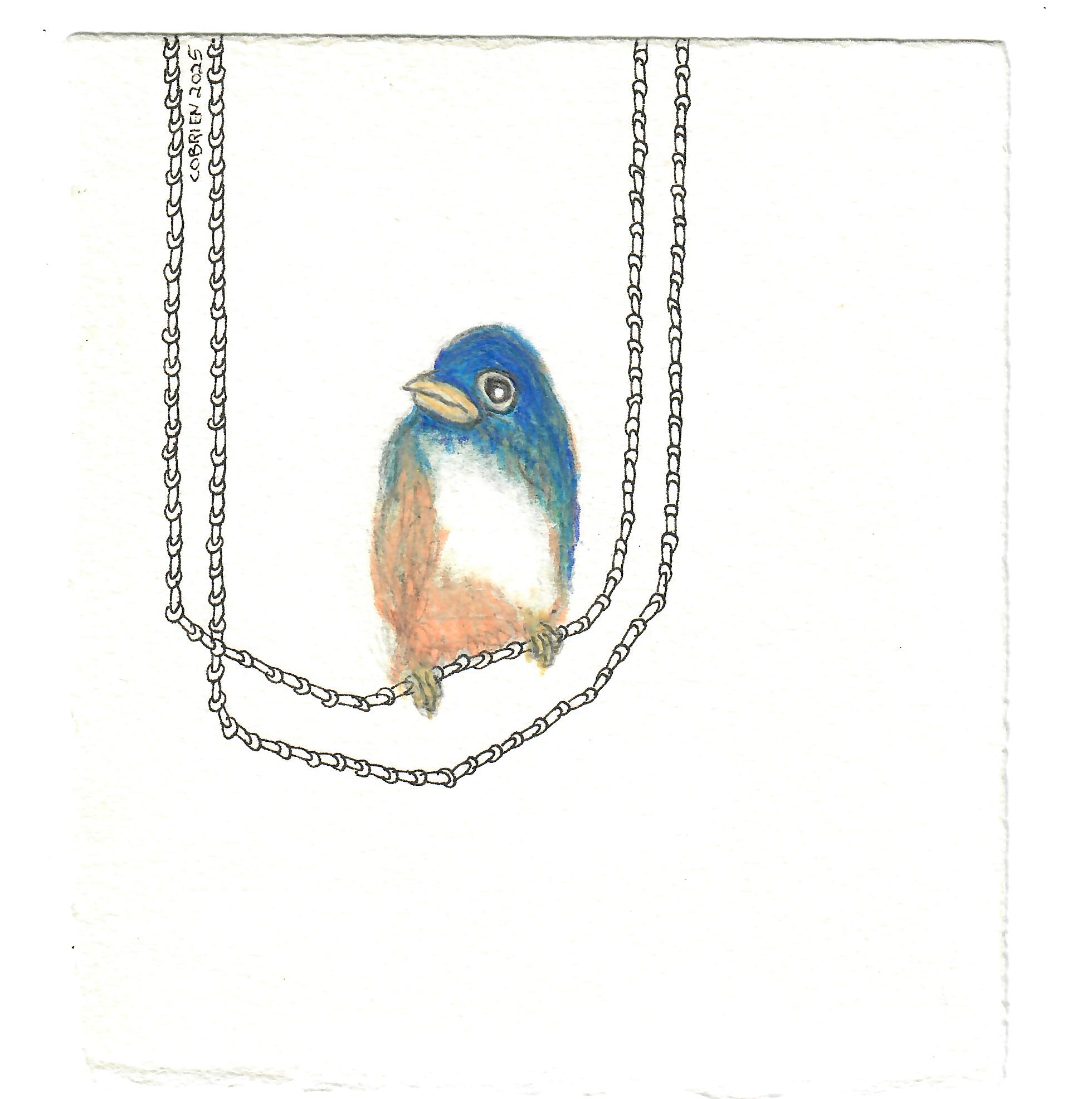 Craig O'Brien - Hanging Blue, UNF