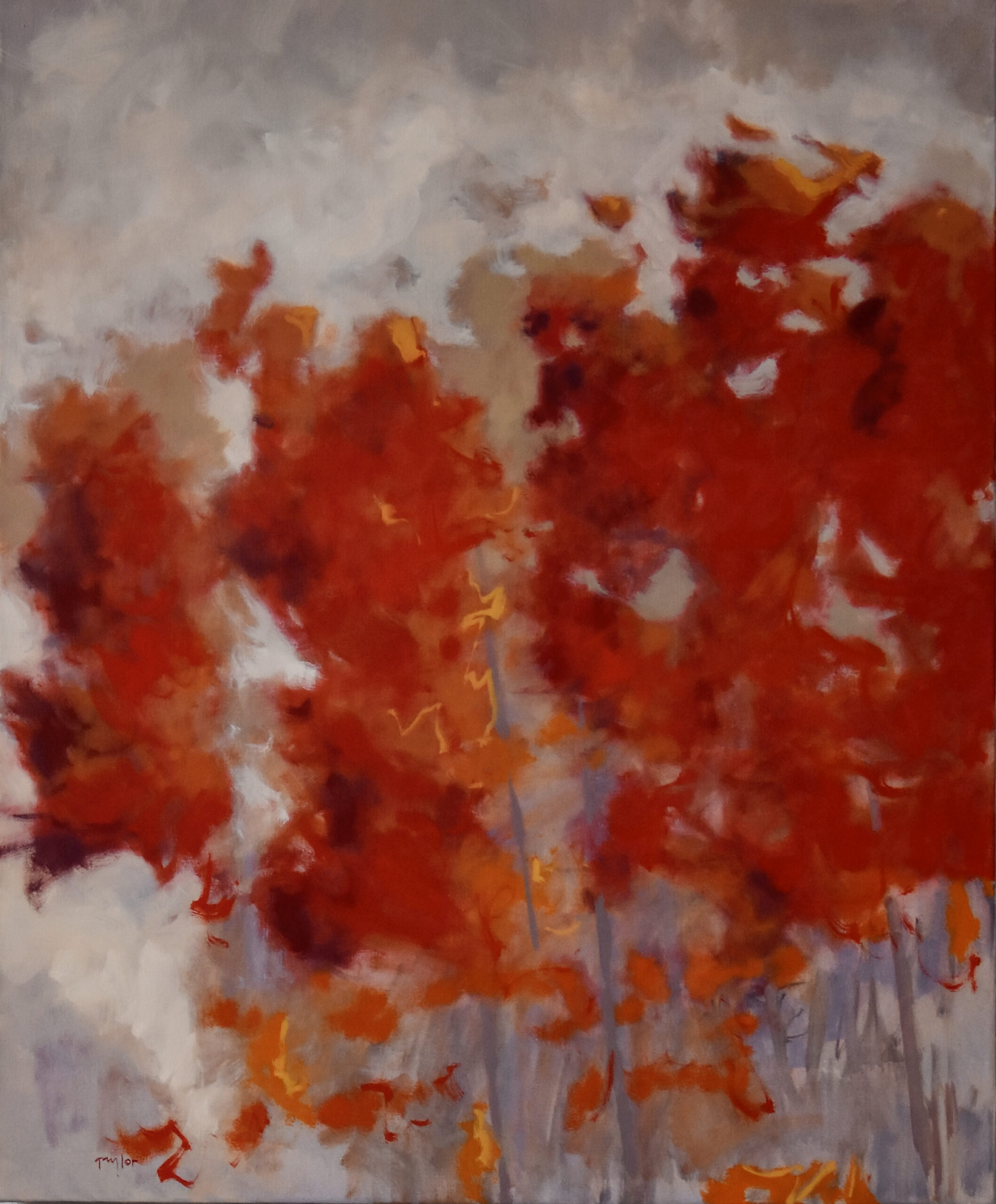 Andy Taylor - Maples