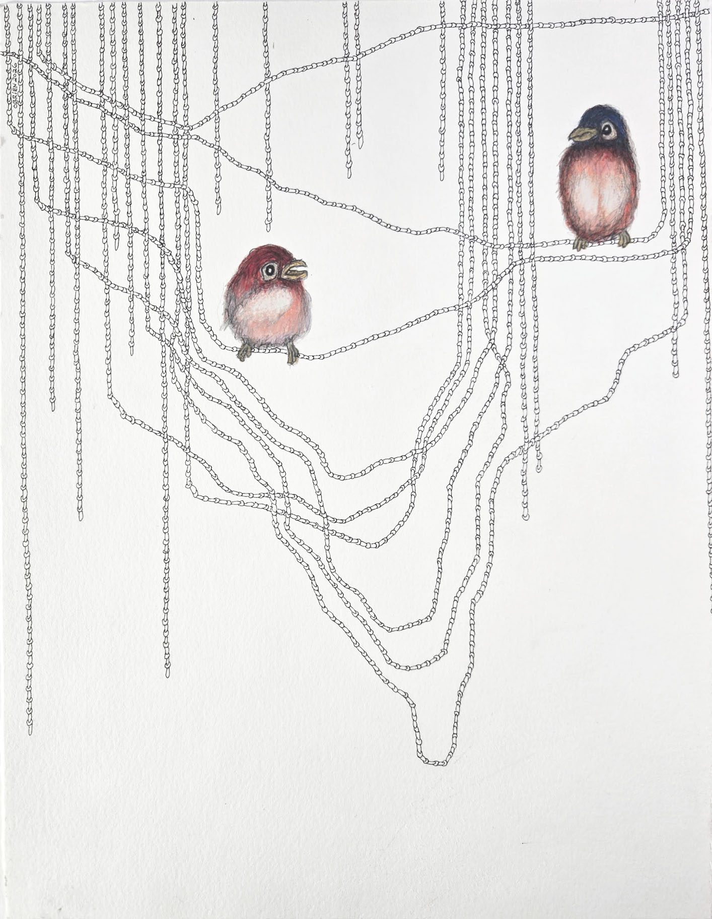 Craig O'Brien - Really***