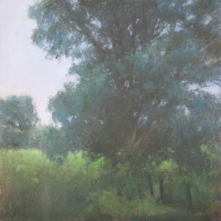 Sabrina Stiles - Summer's Dream