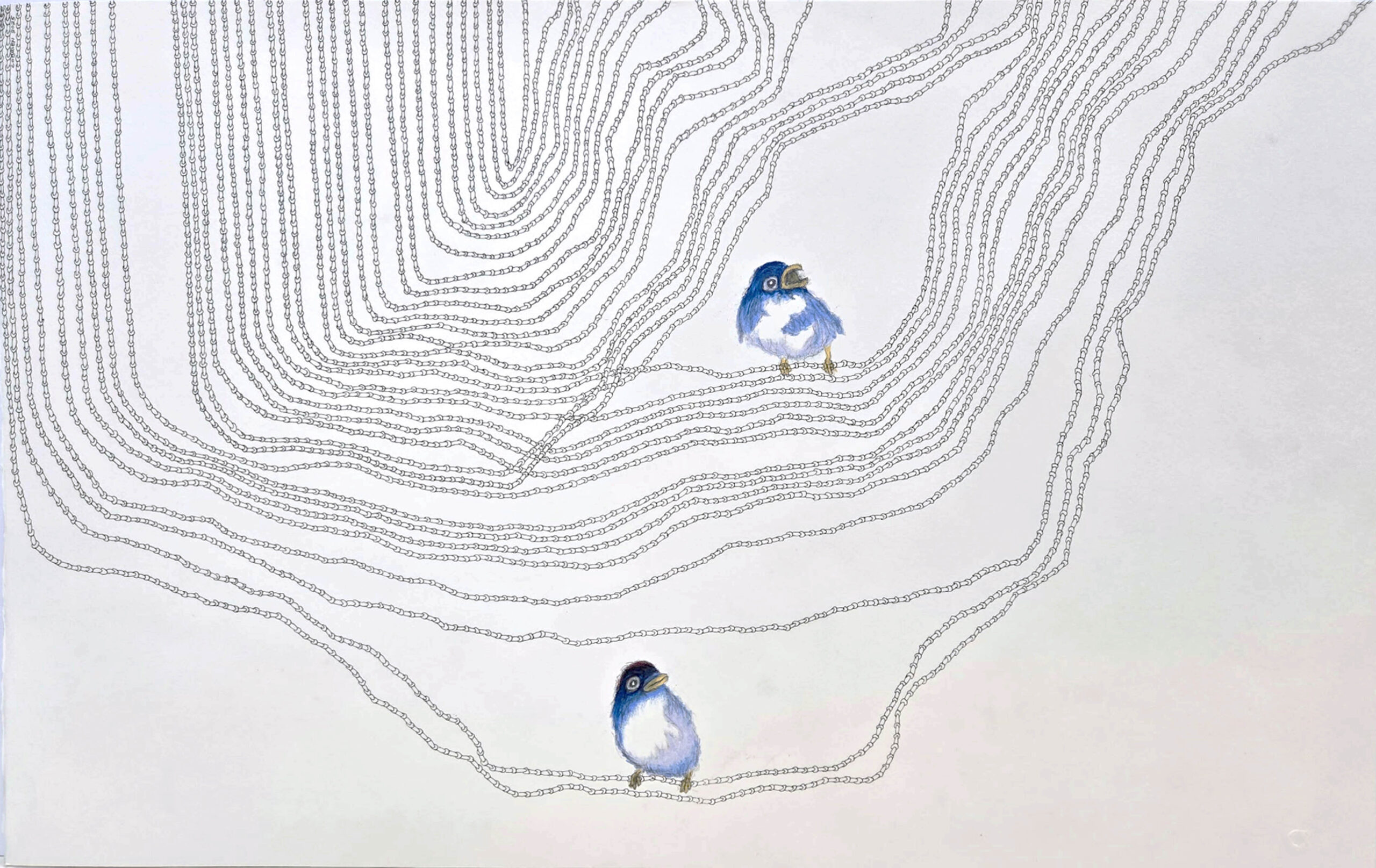 Craig O\'Brien - Two in the Tangle, UNF