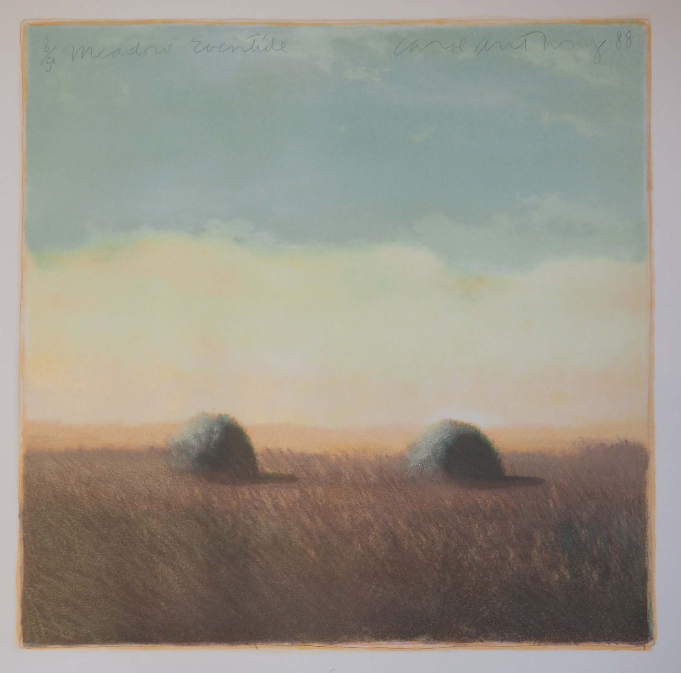 Works Available By - Carol Anthony: Meadow Eventide, 8/50