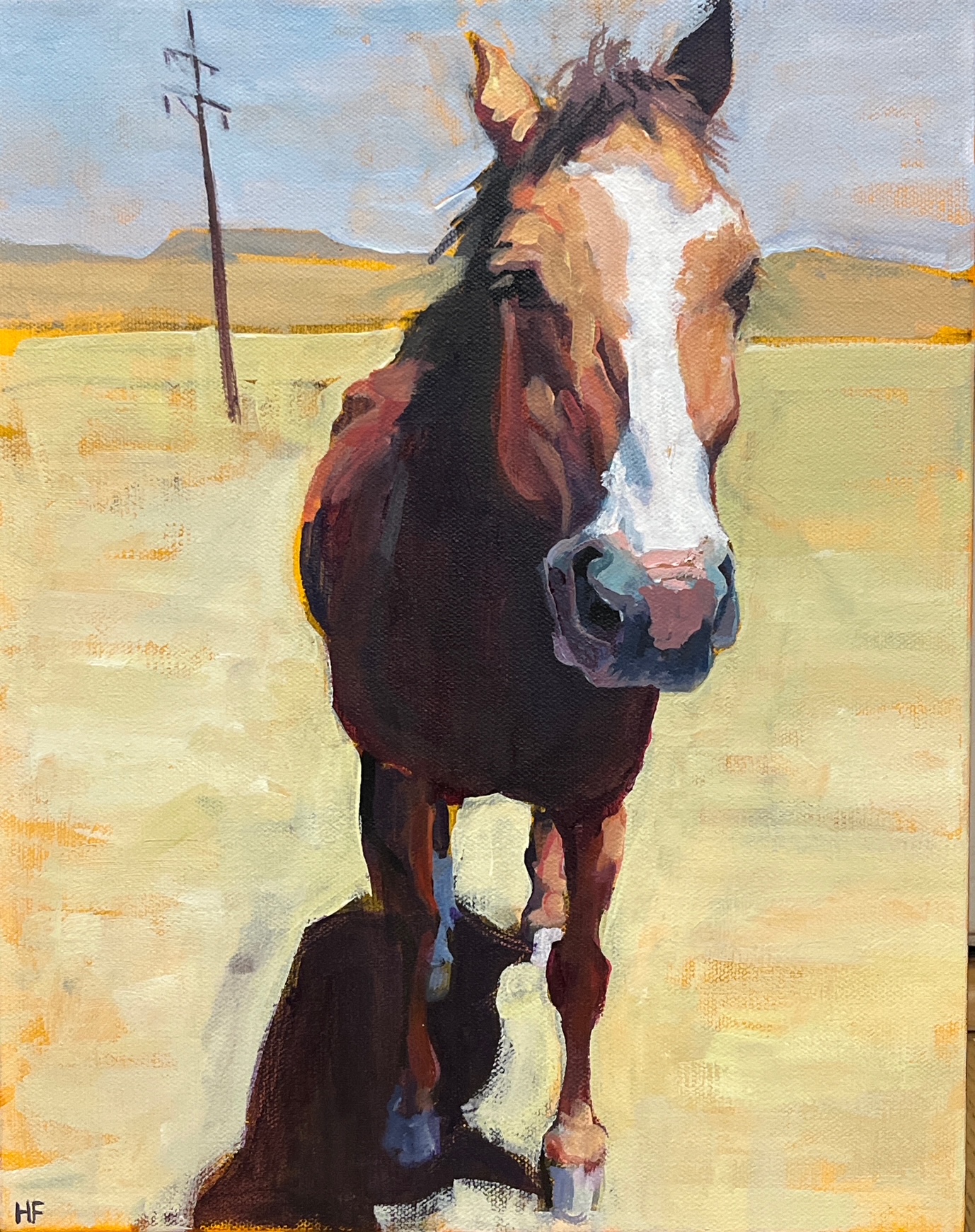Heather Foster - Abquiu Horse