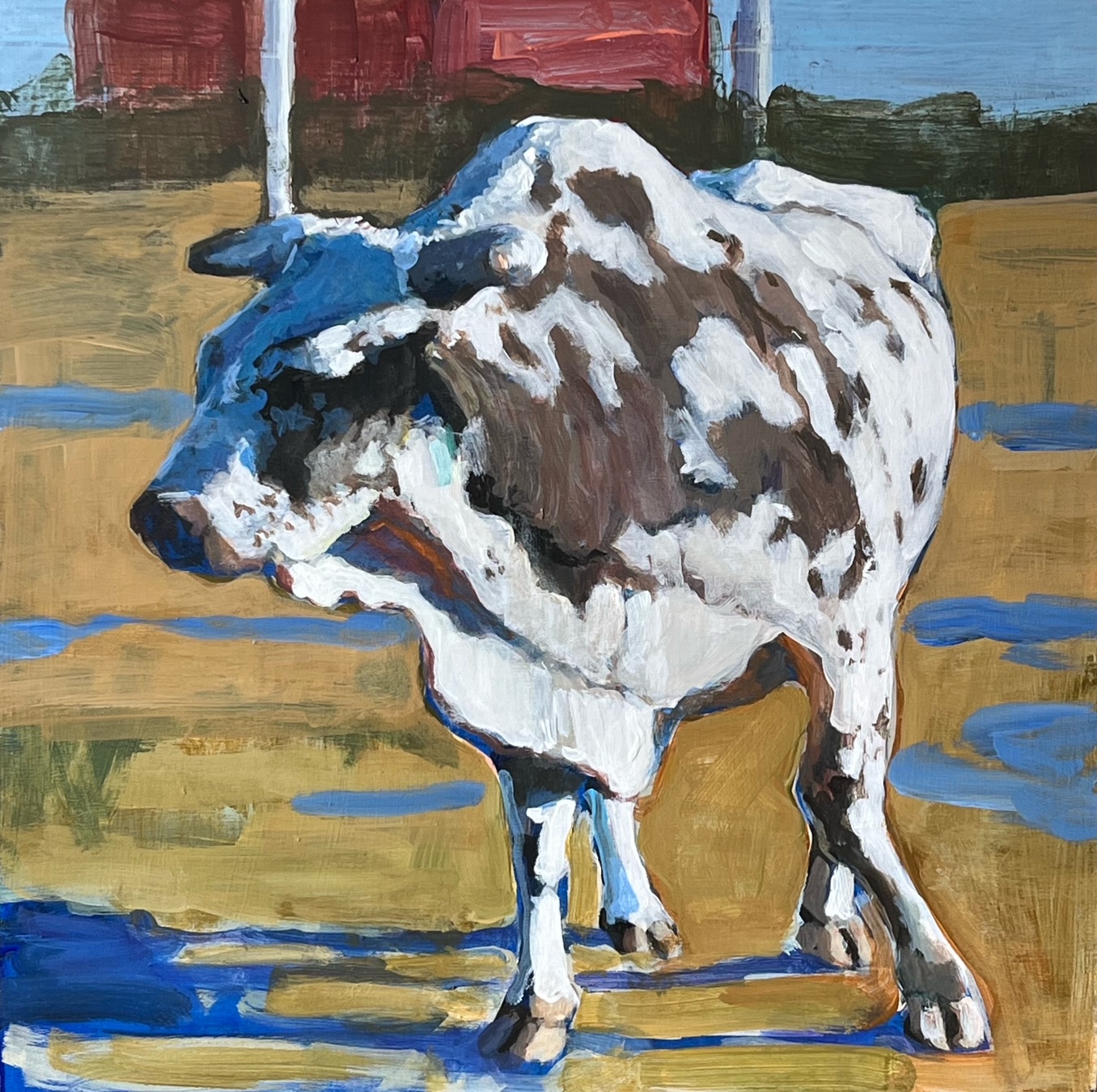 Heather Foster - Bull With Blue Shadows