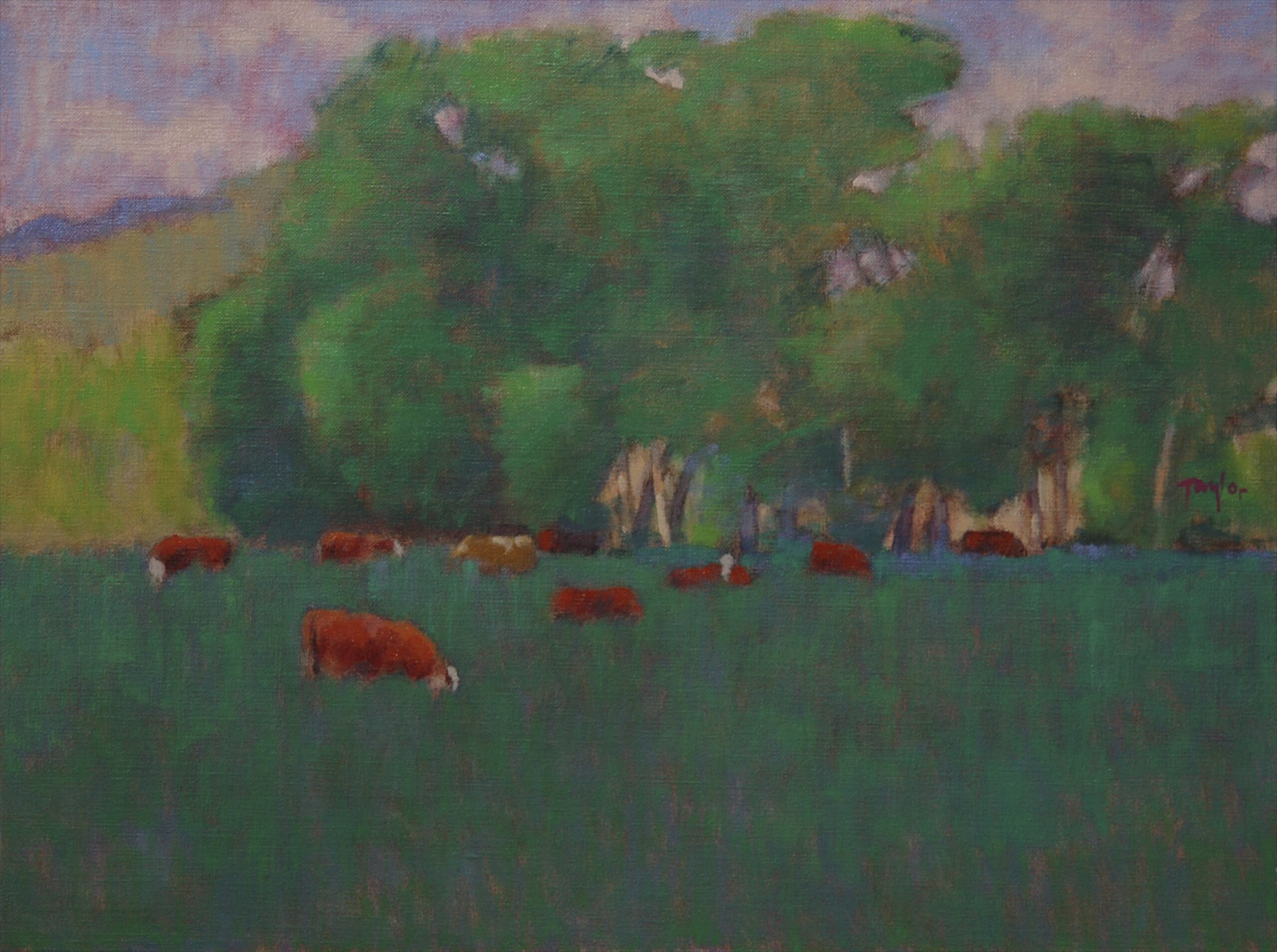 Andy Taylor - One Brown Cow