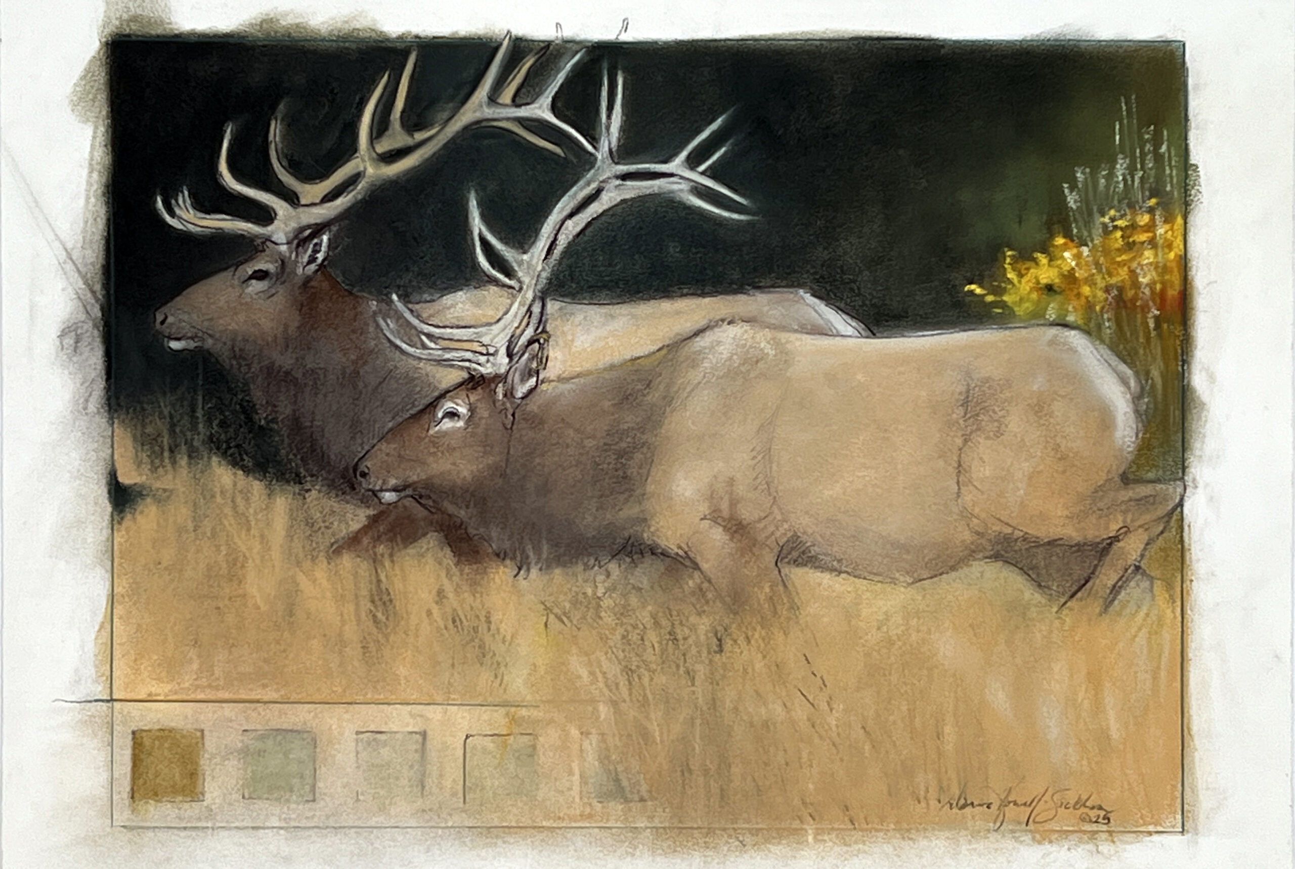 Donna Howell-Sickles - Walking in Tall Grasses