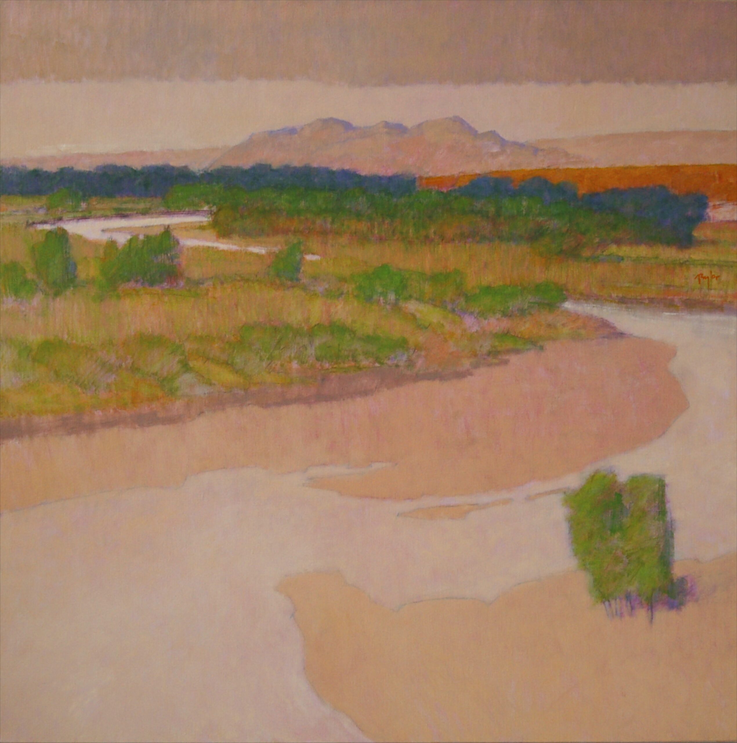 Andy Taylor - Yampa