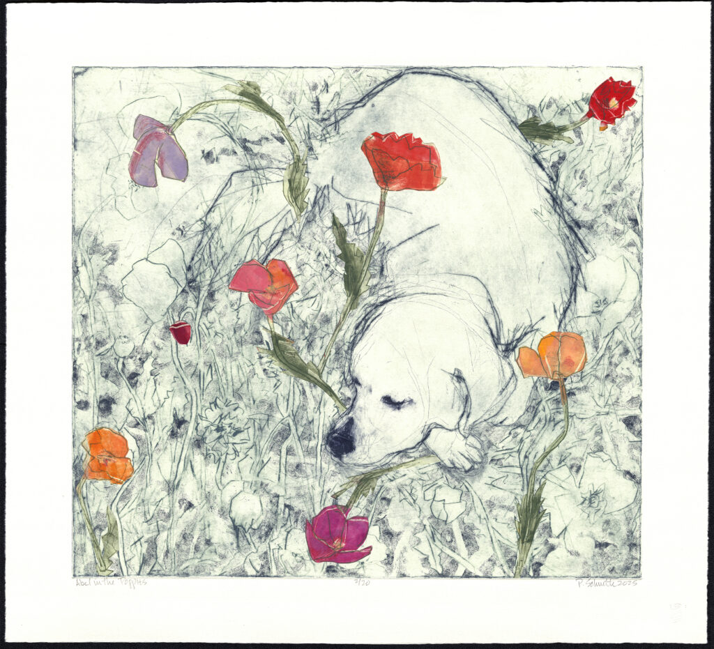 Paula Schuette Kraemer, Able in the Poppies, 14/20, UNF art