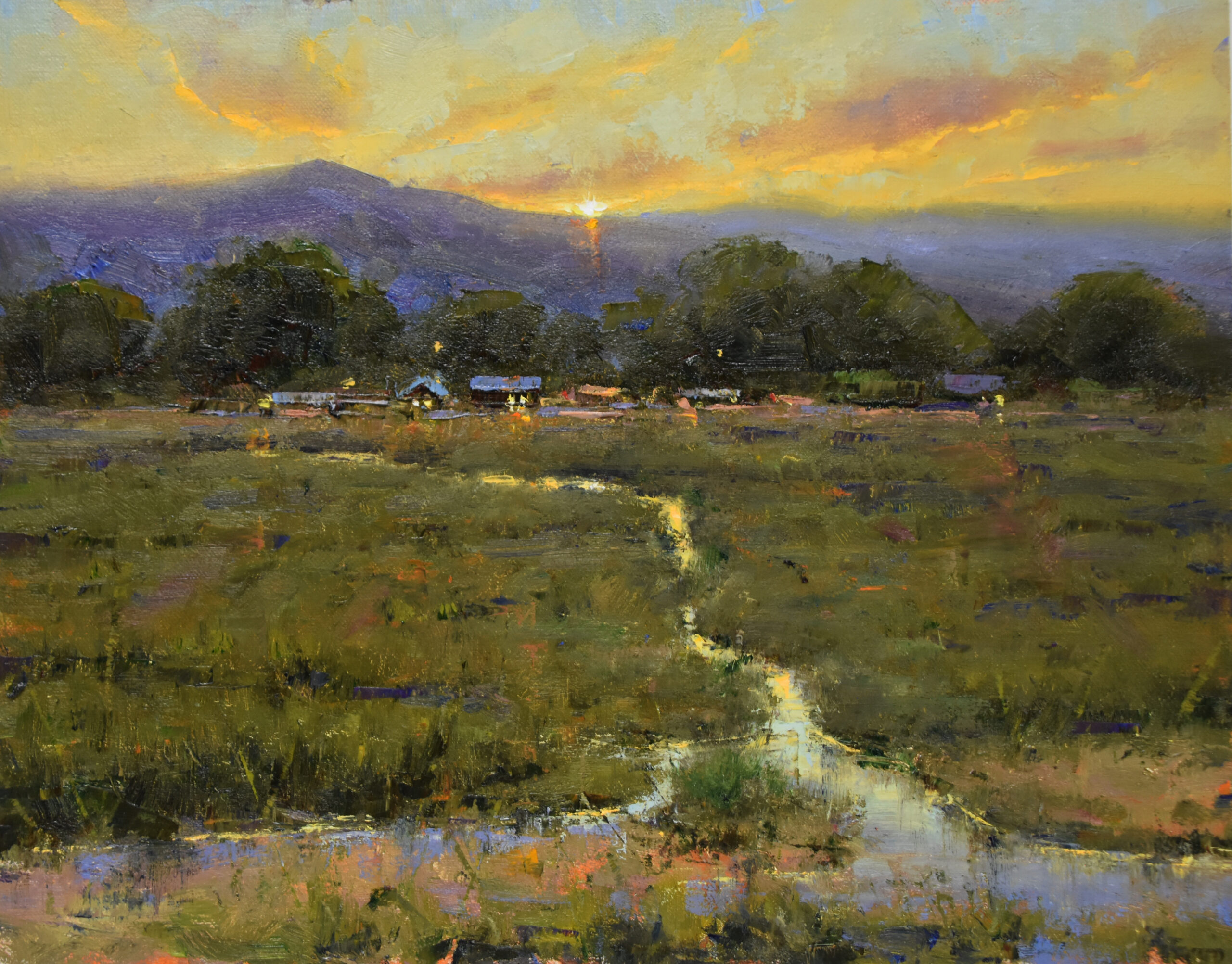 Dan Young - After the Rain