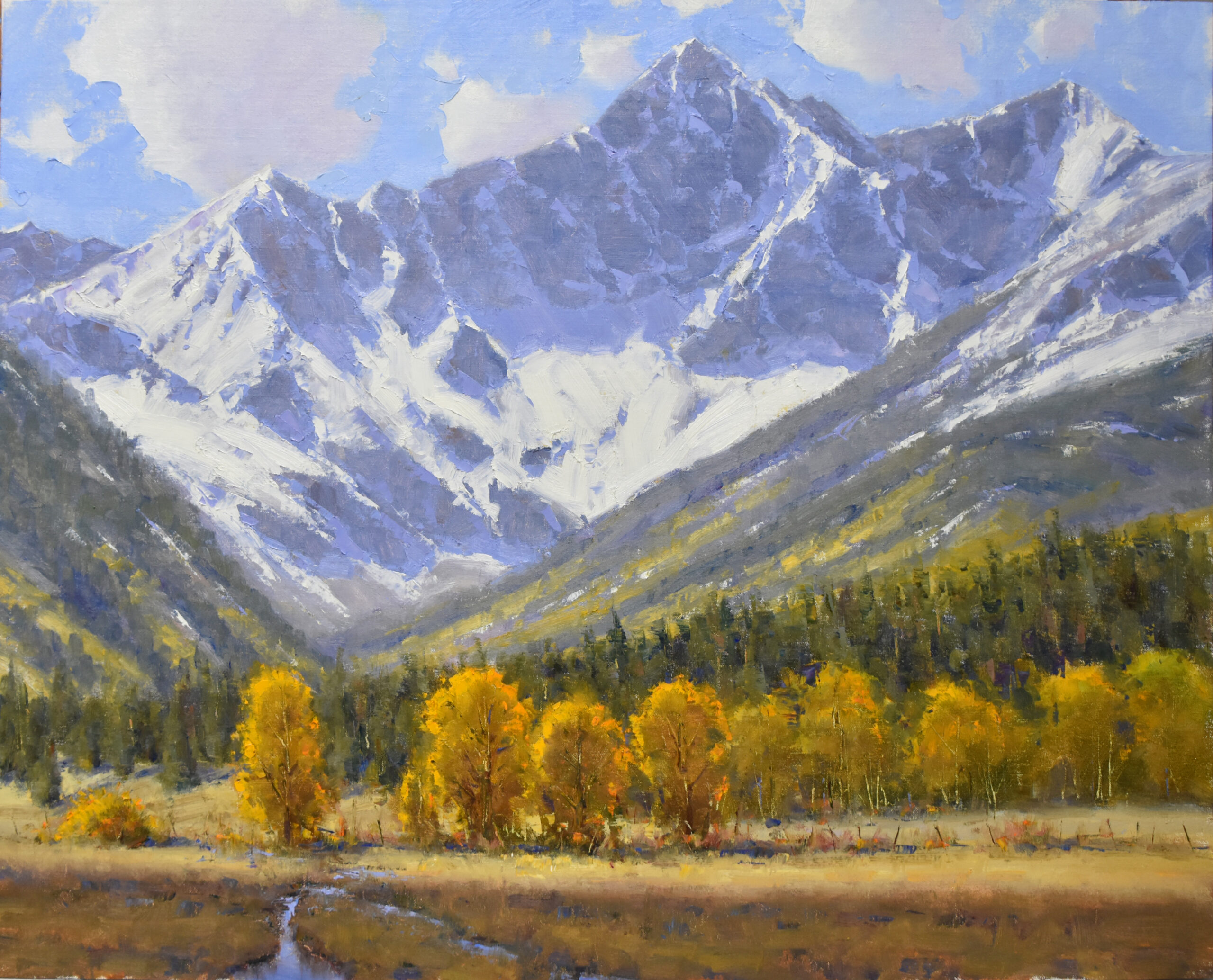 Dan Young - Colorado's Finest