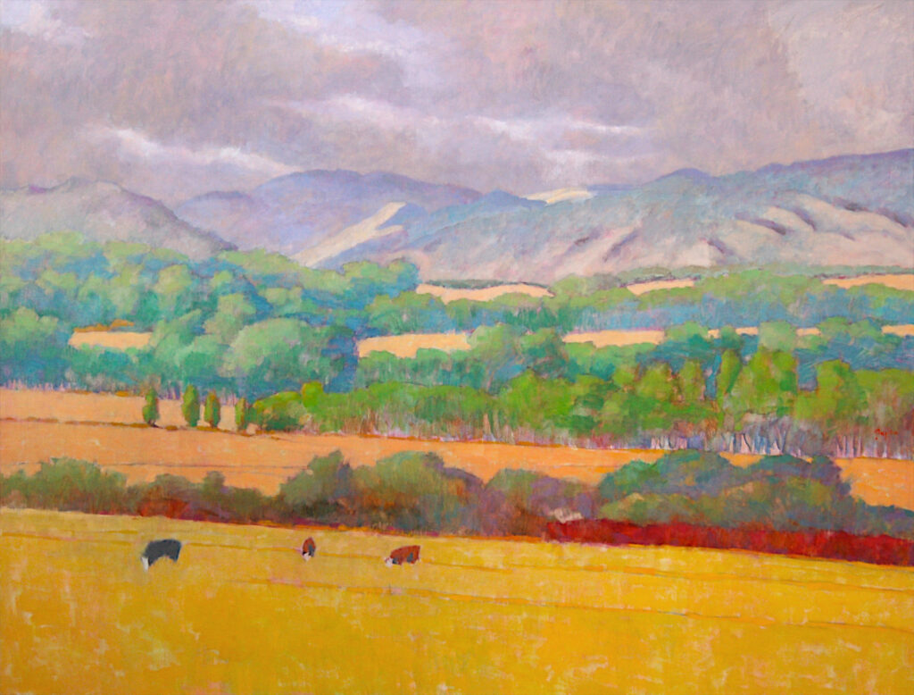 Andy Taylor, South of Town art