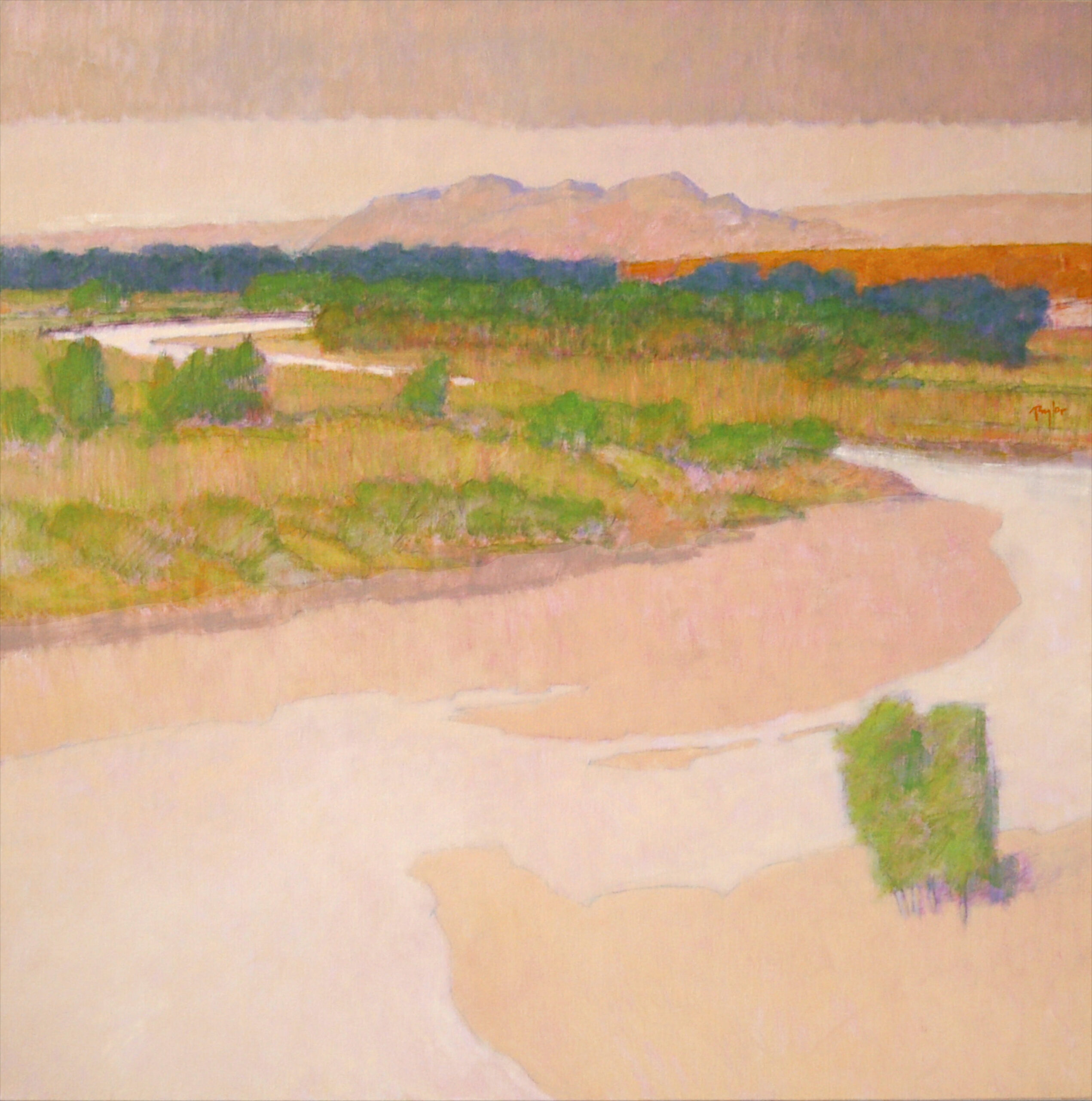 Andy Taylor - Yampa