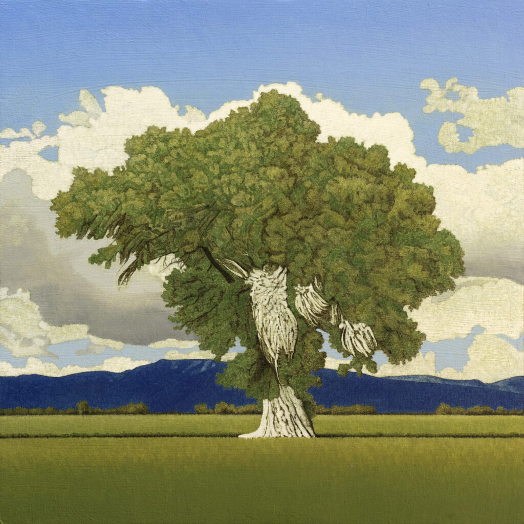 Clay Wagstaff, Cottonwood art