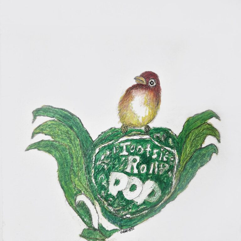 Craig O`Brien - Flowering, UNF
